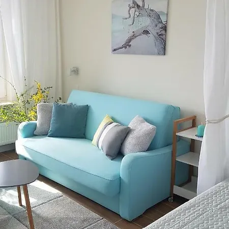 Aquamarina Onyx 109 * ミエンジズドロイェ